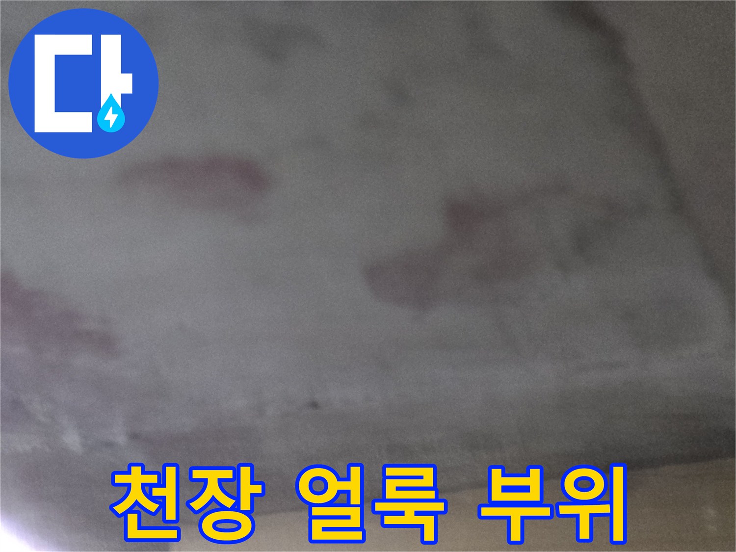 습기가-침투하여-어둡게-변한-천장-표면