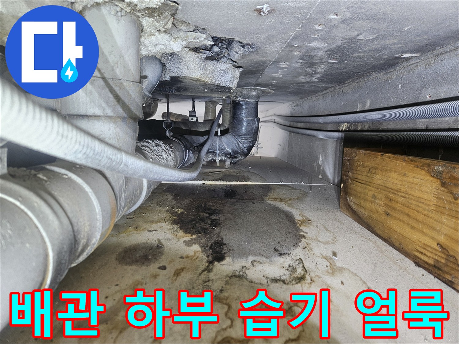 축축하게-젖어있는-배관-주변-슬래브