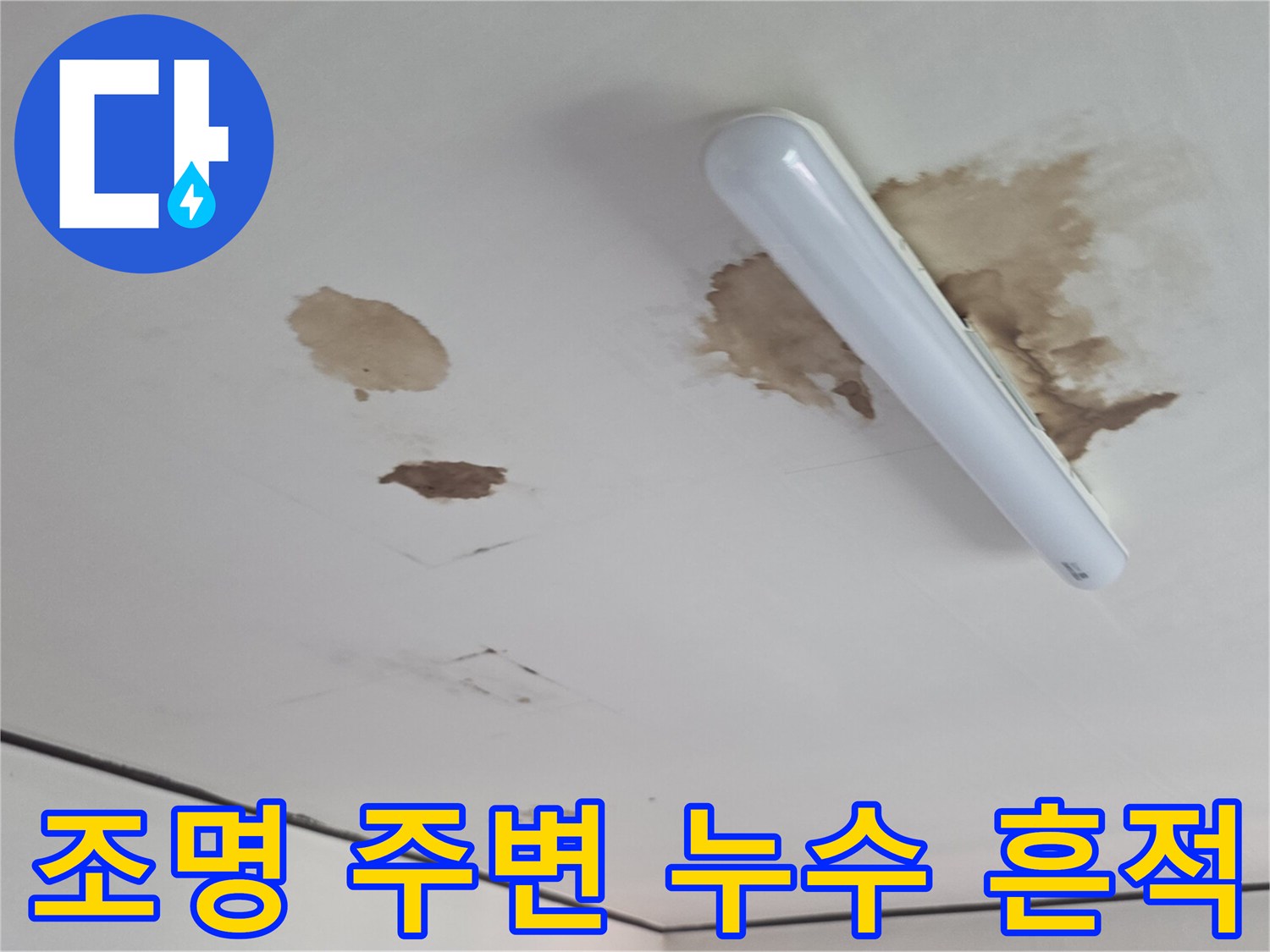 천장 LED 조명 기구 인근의 심한 물자국과 얼룩