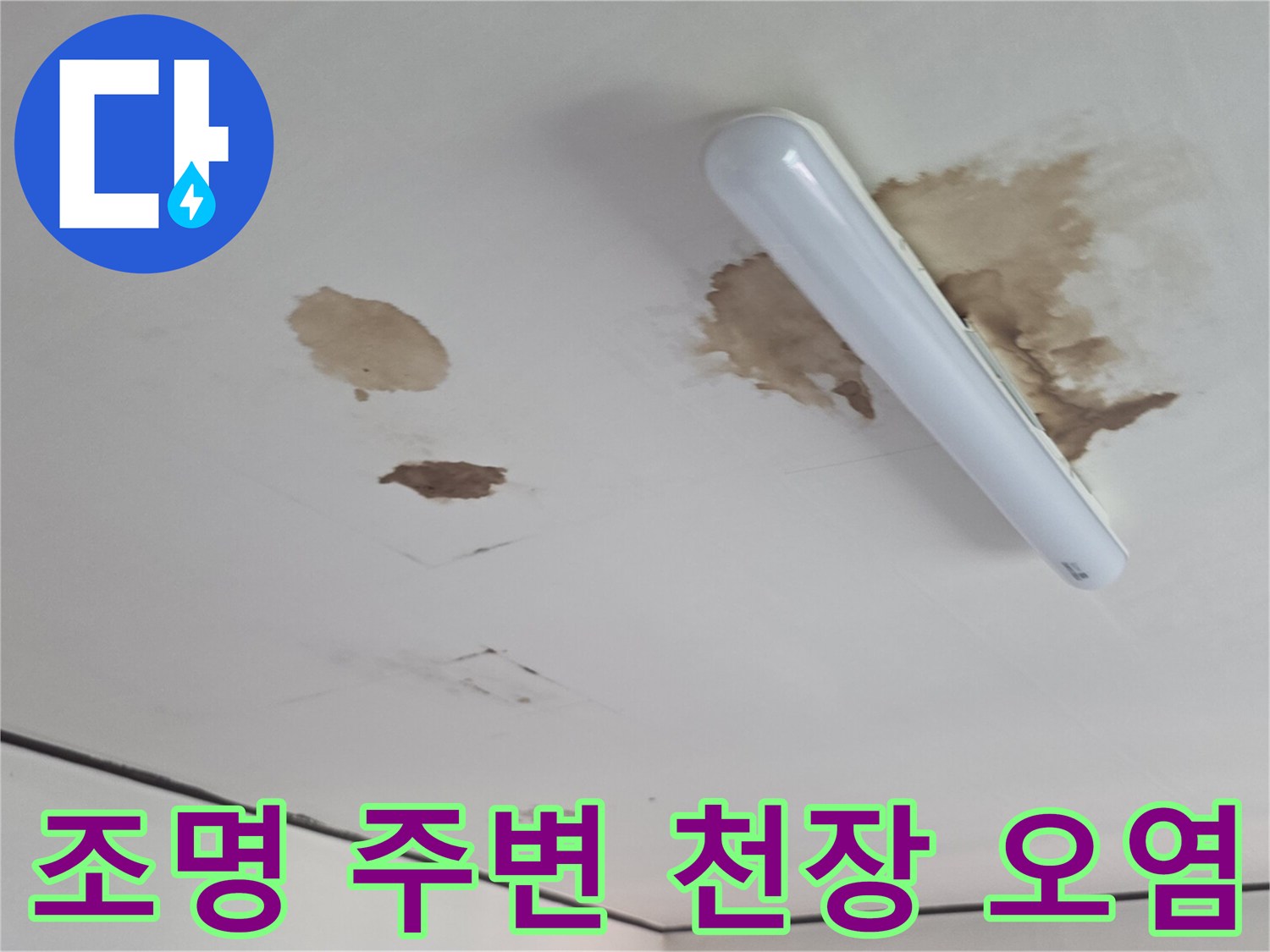 천장 조명 옆으로 번져 있는 갈색 물 얼룩