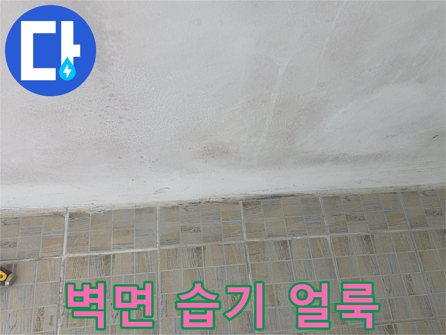 축축하게 젖은-베란다 벽면의 오염 상태