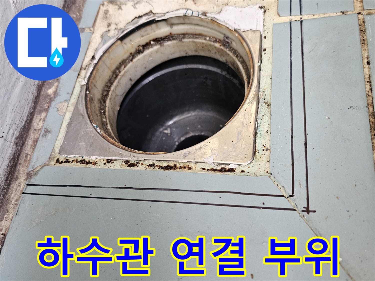 배수구-연결-부위-틈새-확인