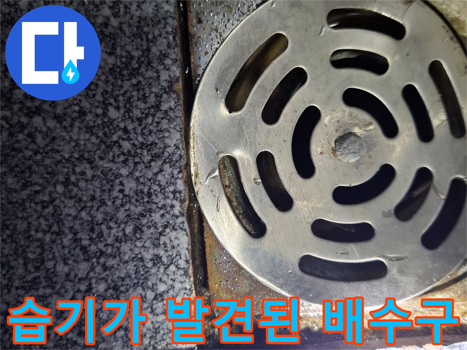 물기가 스며든-욕실-바닥-배수구-덮개