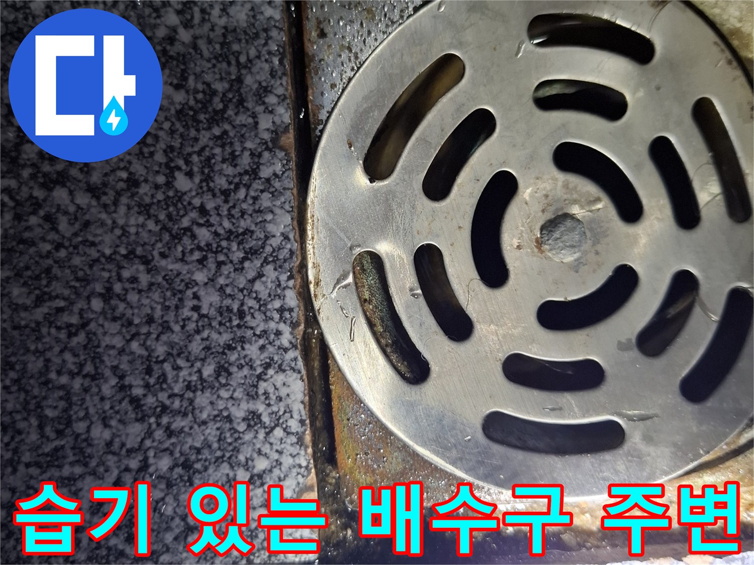 물기가 스며든-욕실-배수구-주변-타일