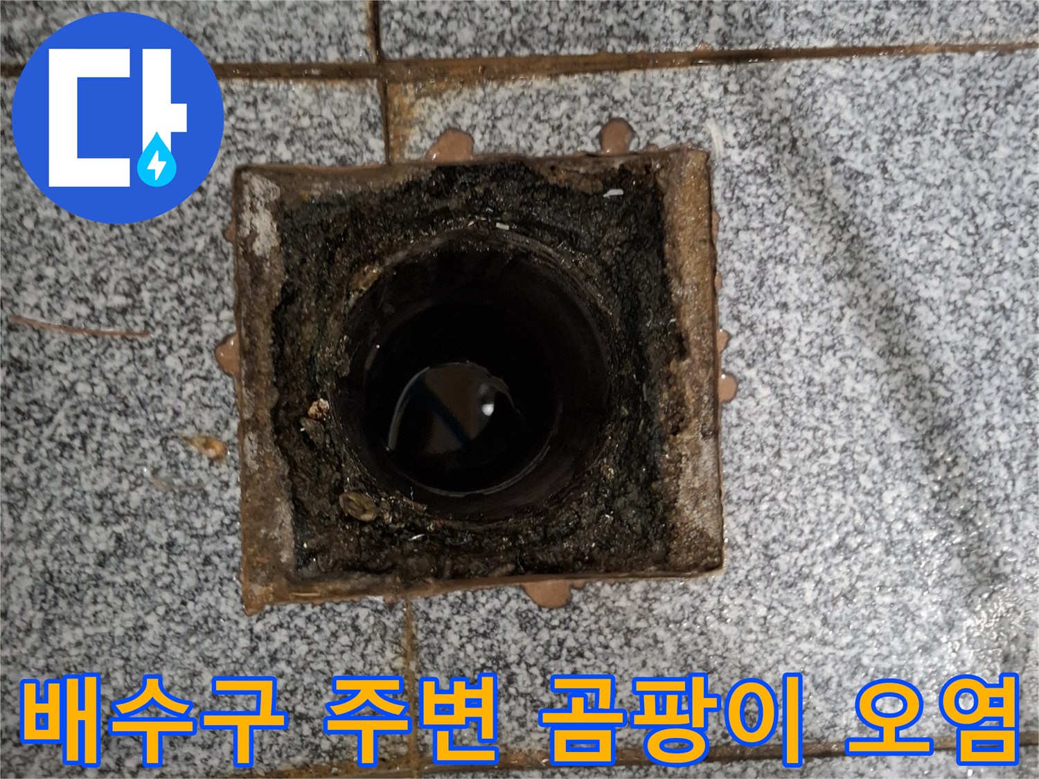 습기가 머물러 있는 화장실 배수구 입구