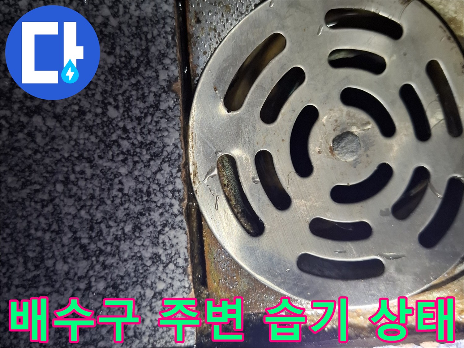 화장실-배수구-주변의-습기와-오염된-상태