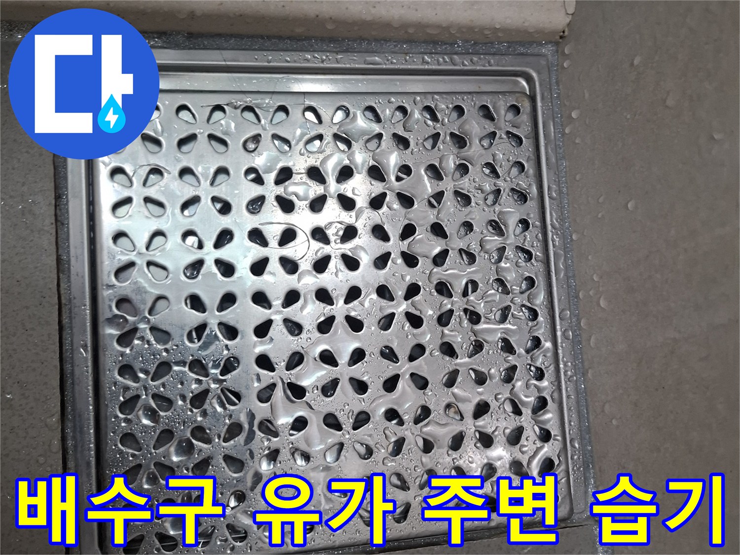 축축하게 젖어 있는 화장실 배수구 타일 부위