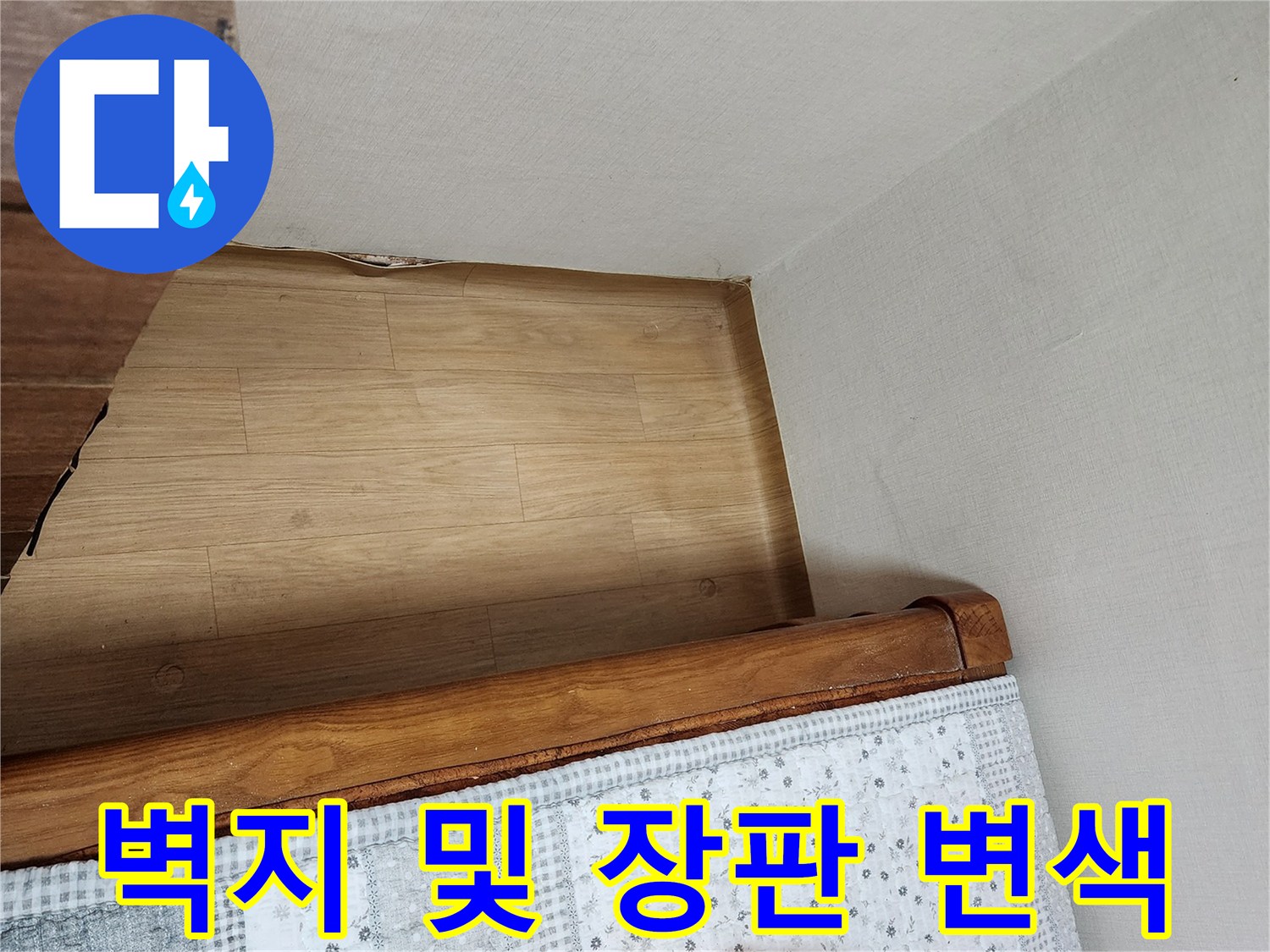 강서구-주택-벽면-하단-습기-흔적