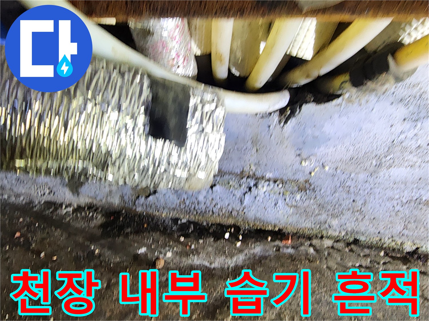 배관 주변-축축하게 젖은 마감재 상태