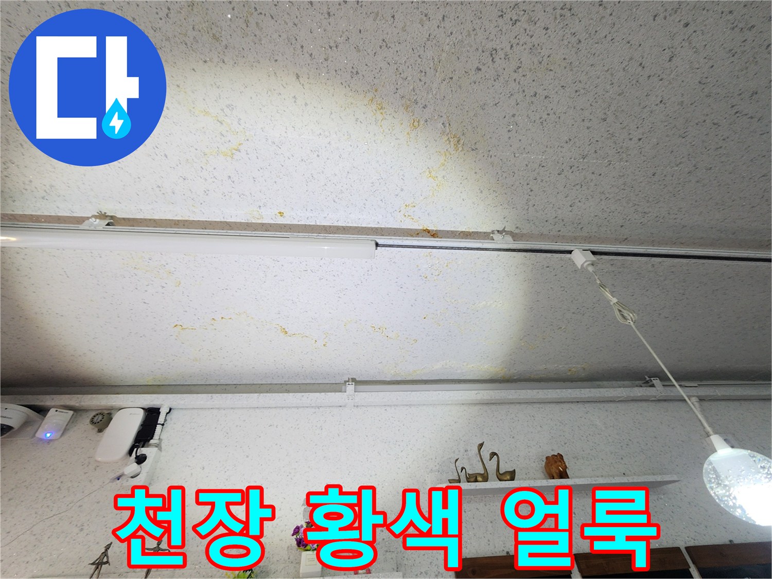 천장-마감재-상의-누수-흔적-촬영