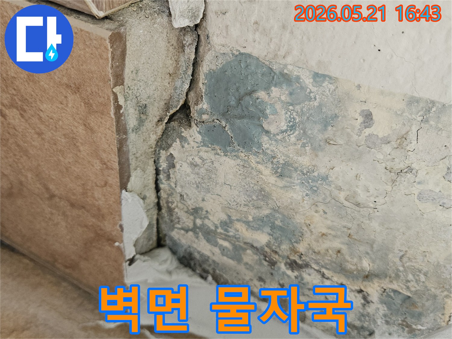 벽면-물자국과-곰팡이가-발생한-누수-현장-모습