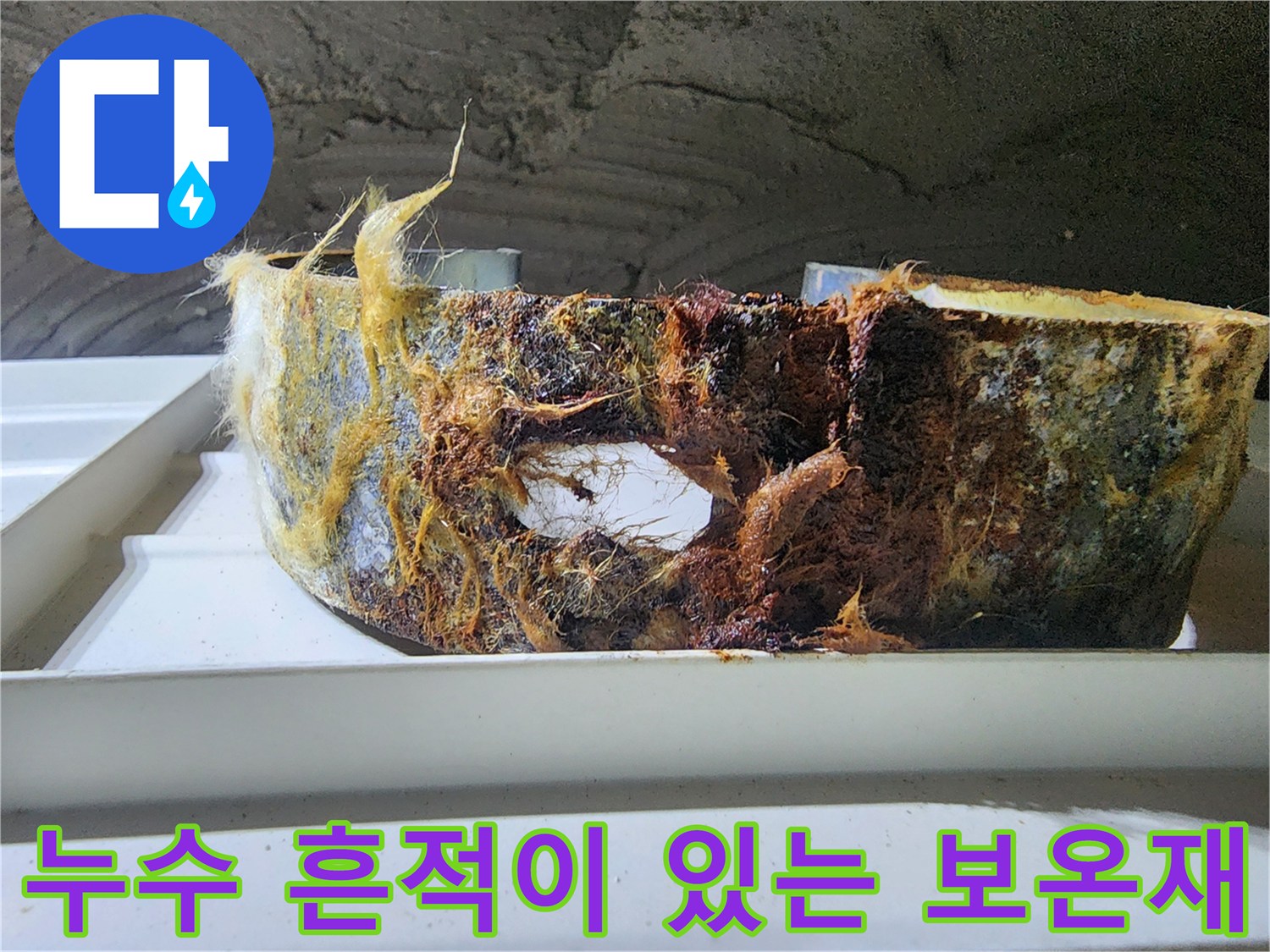 축축하게 젖어있는-배관 외부의 보온재