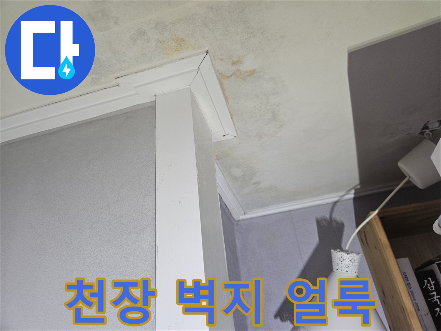 강동구 아파트 천장 벽지 변색 및 곰yle 흔적