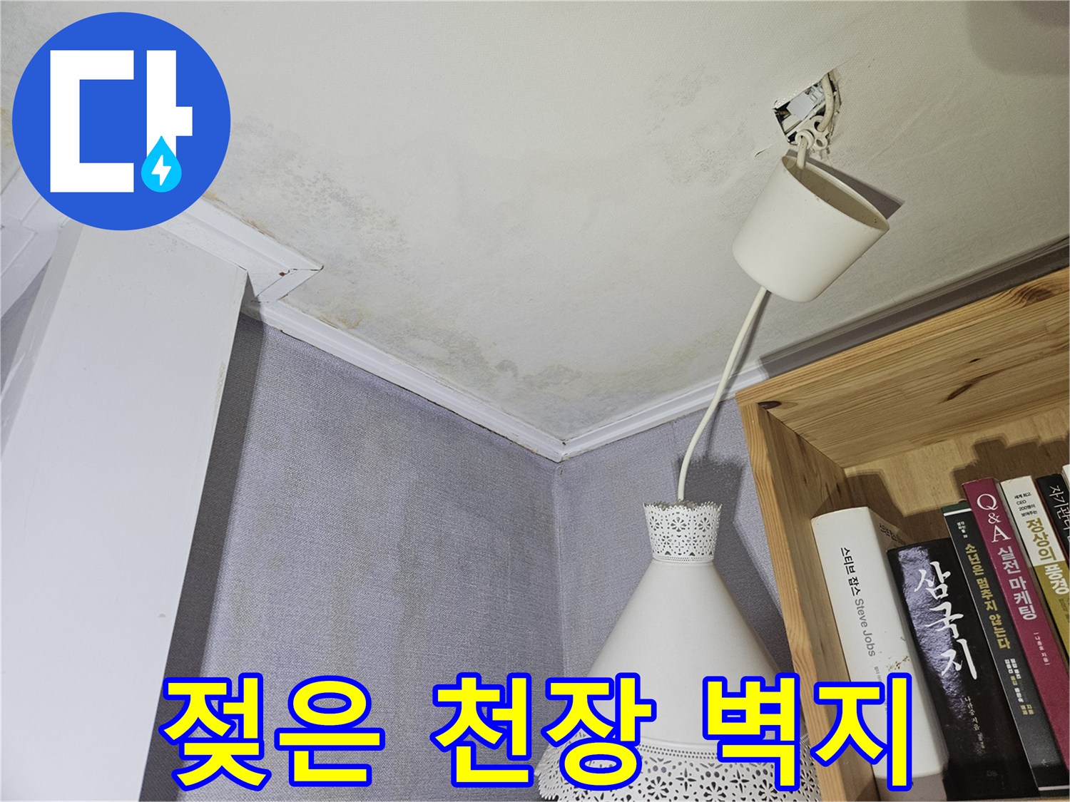 천장 몰딩 주변의 누수 흔적과 얼룩