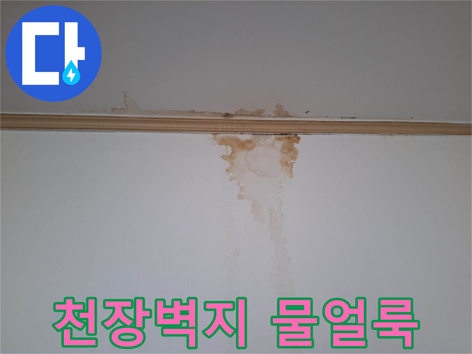 빌라-천장-벽면-물샘-흔적-사진