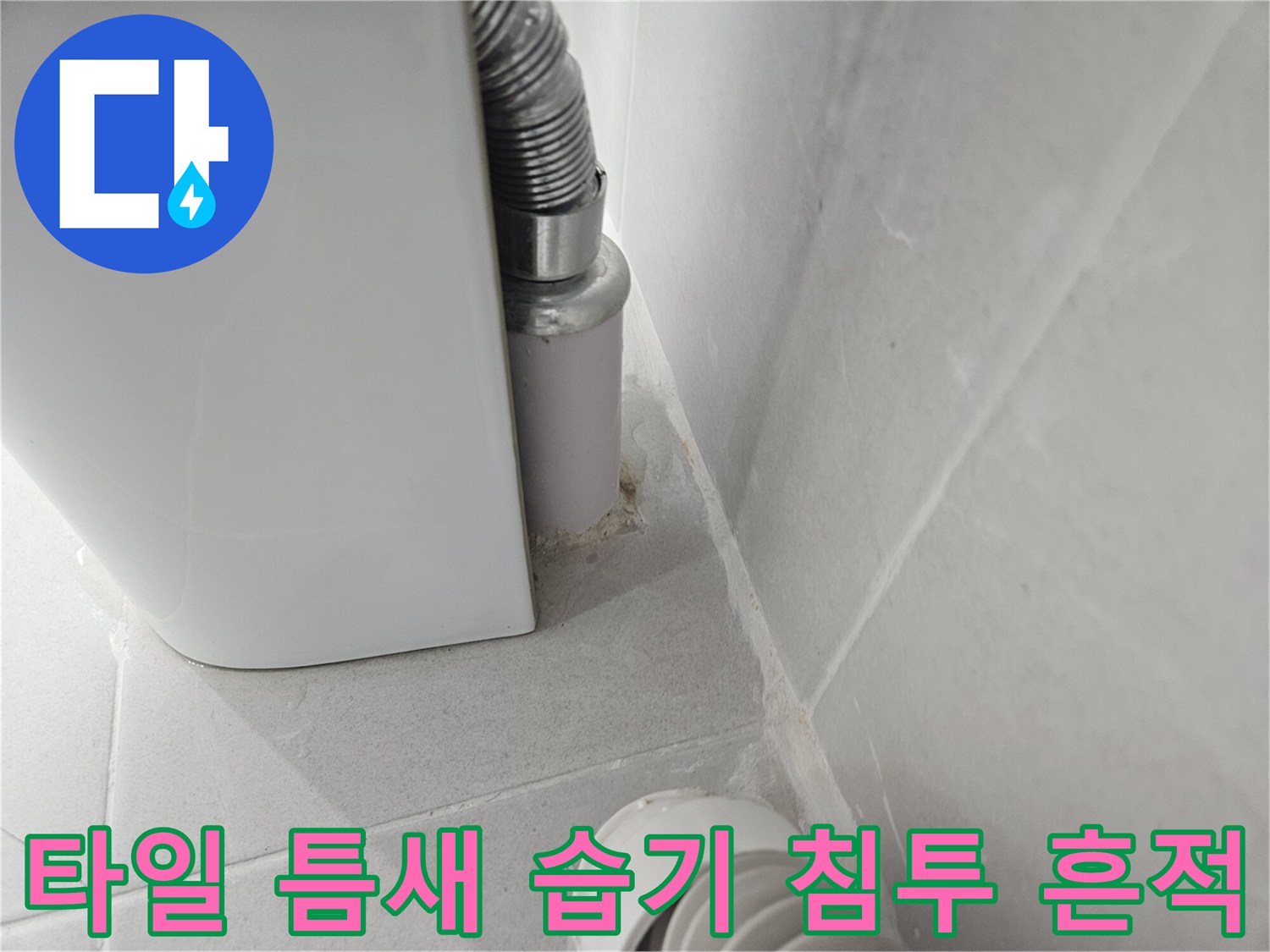 욕실-벽면-타일-사이-습윤-상태