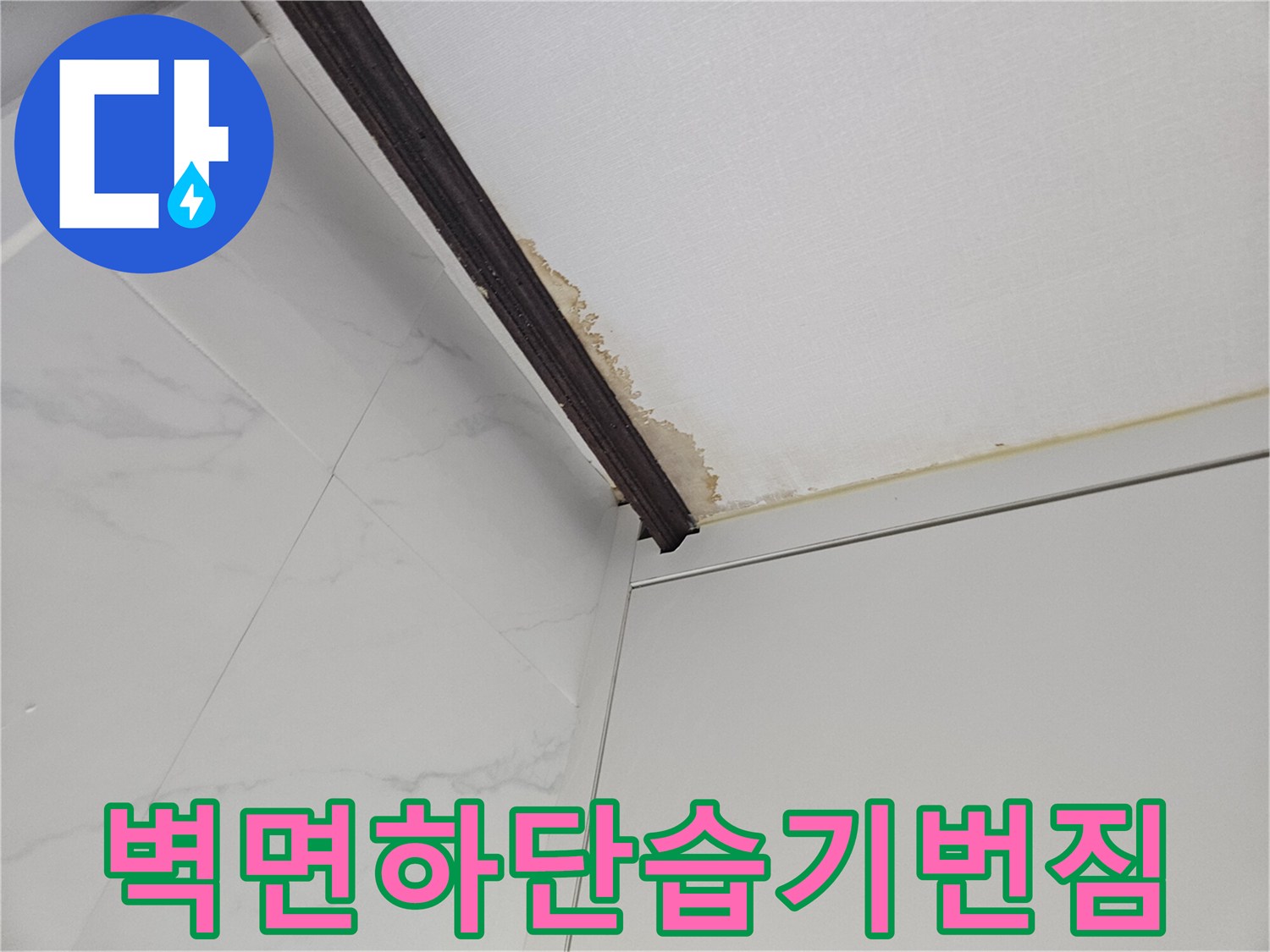 욕실-타일-모서리-부분의-습기-번짐-증상