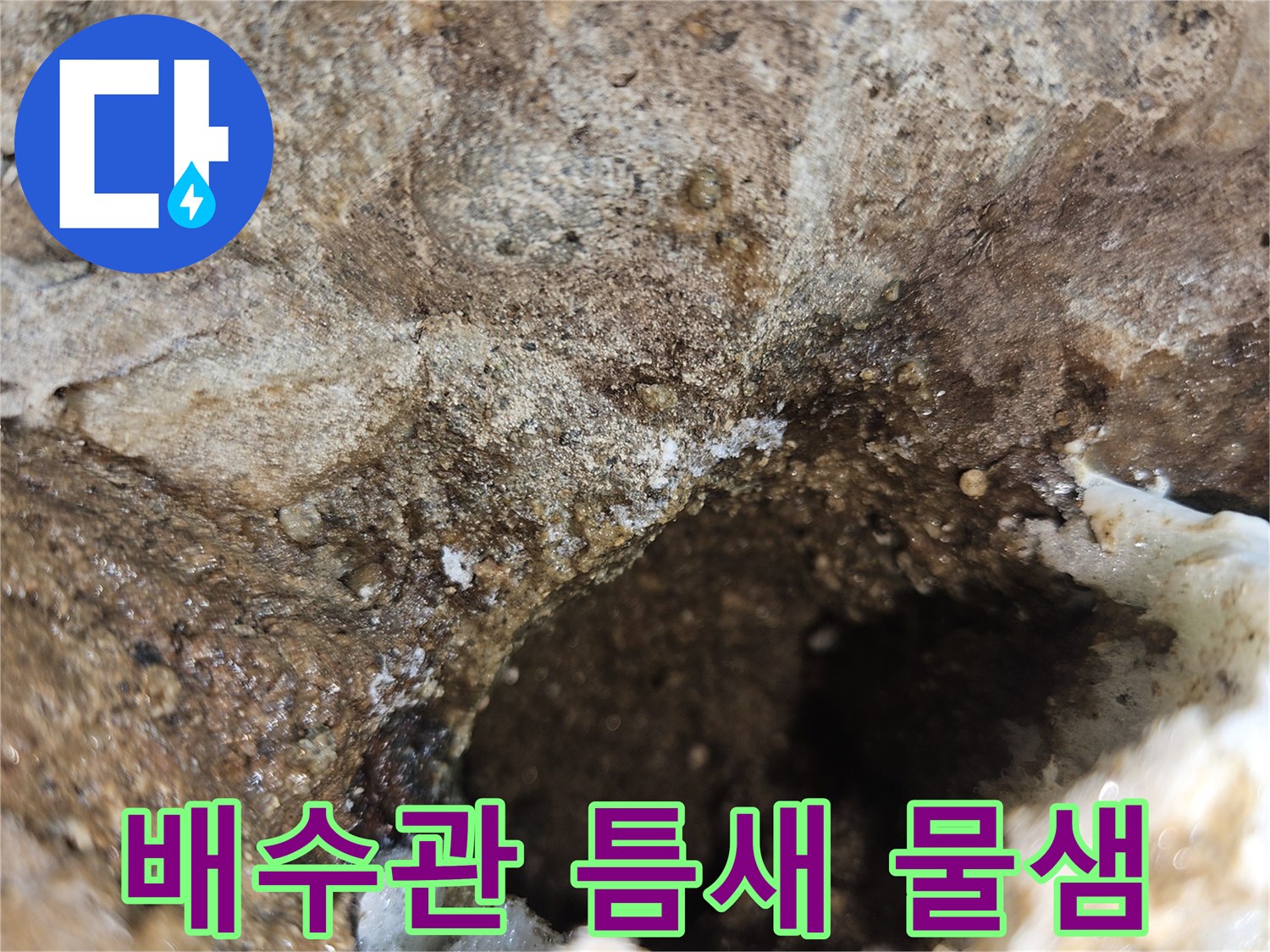 화장실-배수관-연결부위-물샘-현상-확인