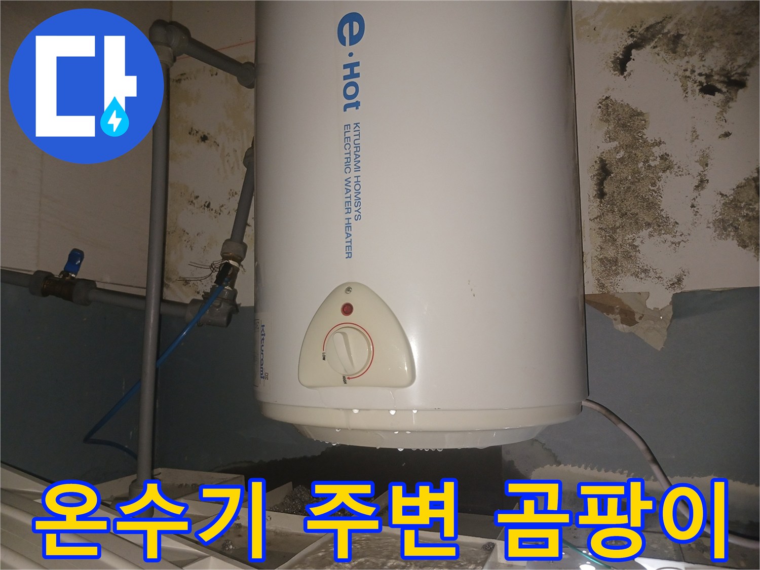 전기-온수기-하단-배관-주변의-심한-곰팡이-흔적
