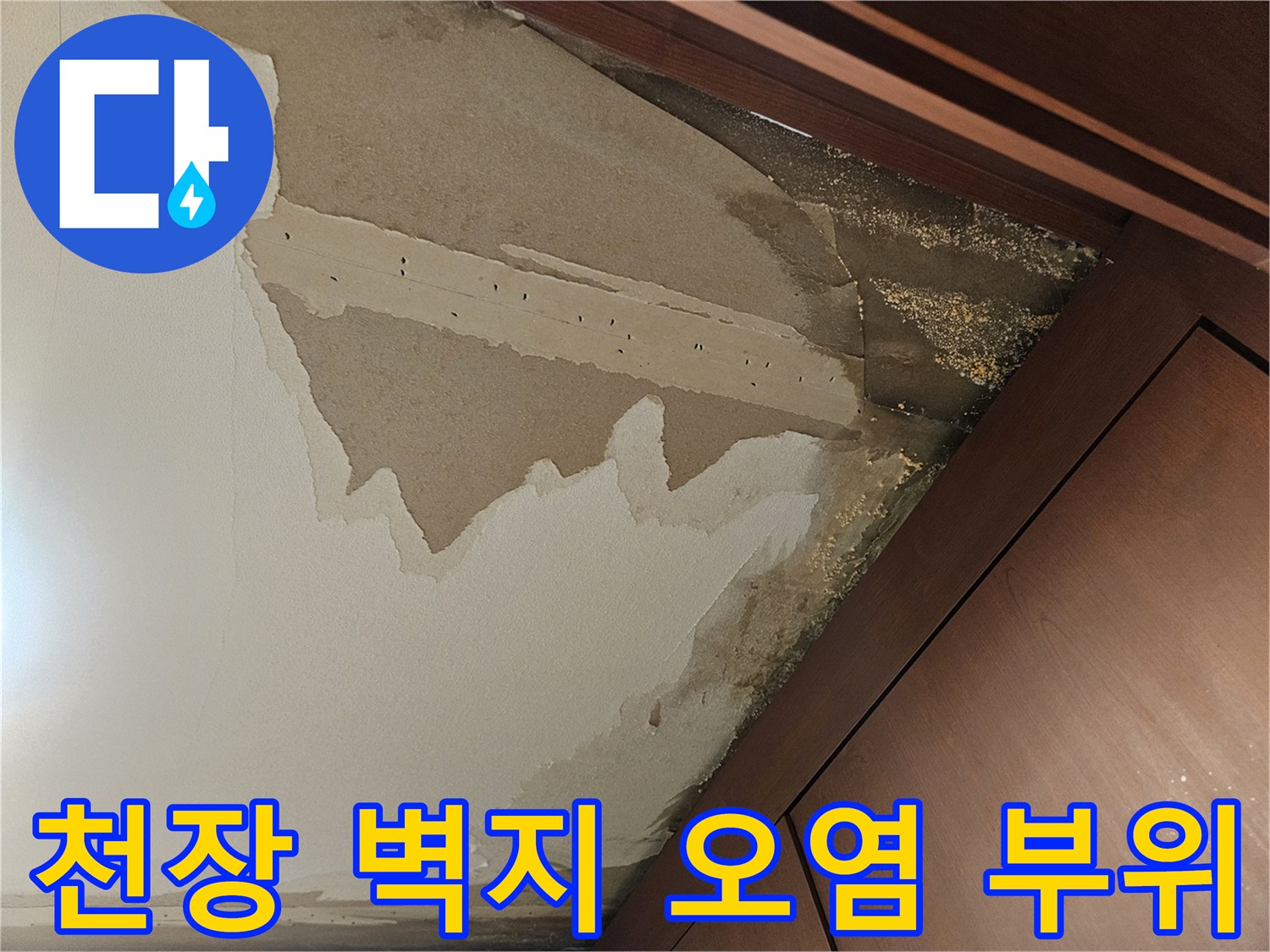 가구-옆면-벽지가-축축하게-젖어있음