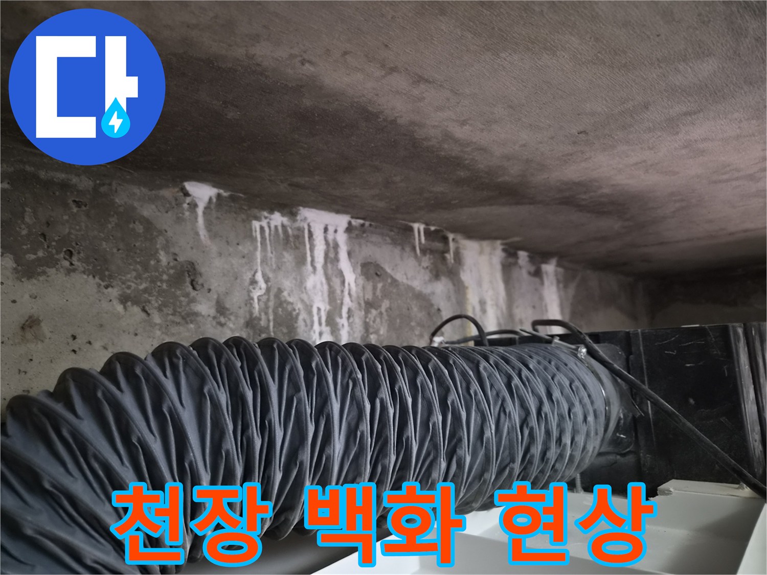 의정부-화장실-천장-콘크리트-백화-현상-사진