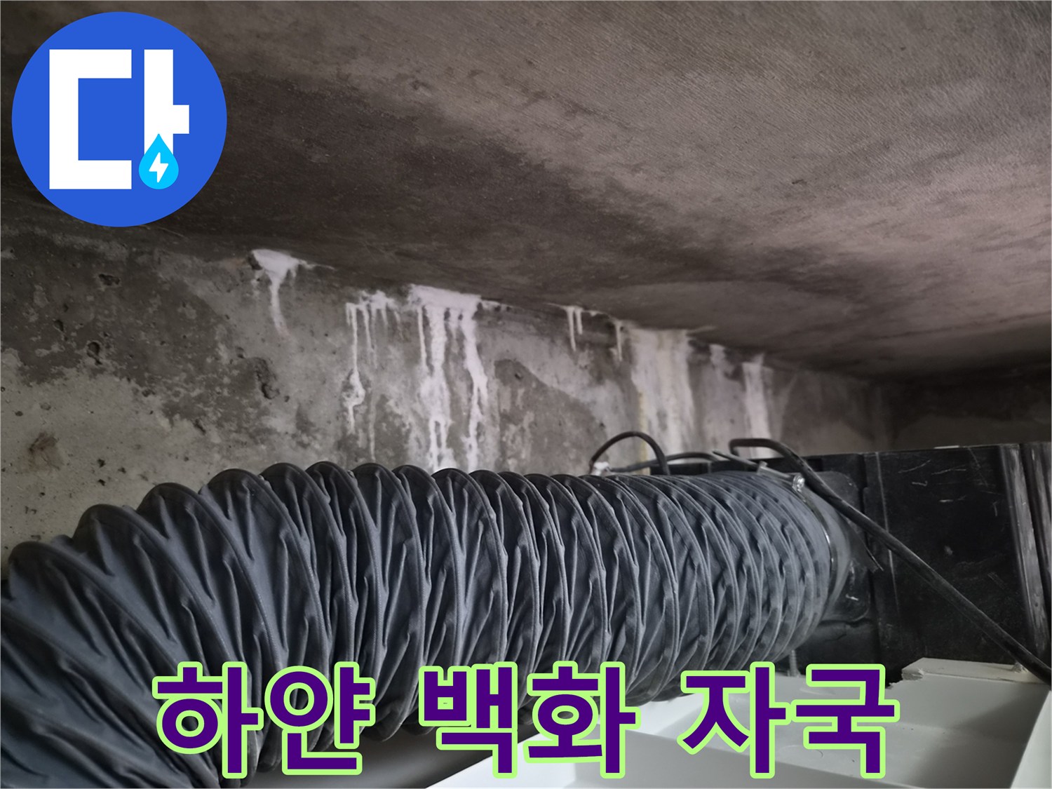 천장-콘크리트-면의-하얀색-백화-자국