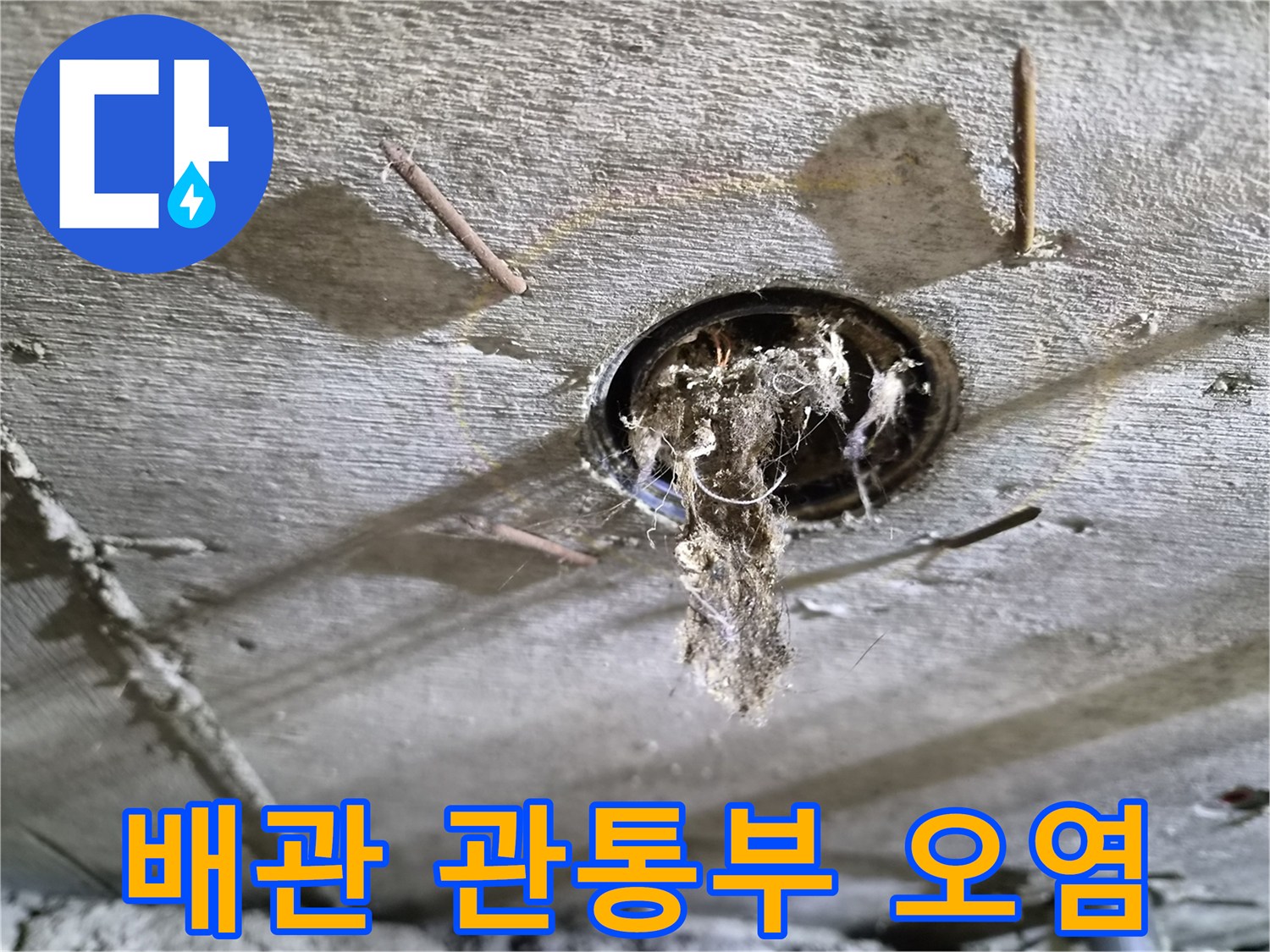 콘크리트 구멍 주변의 젖은 먼지 덩어리