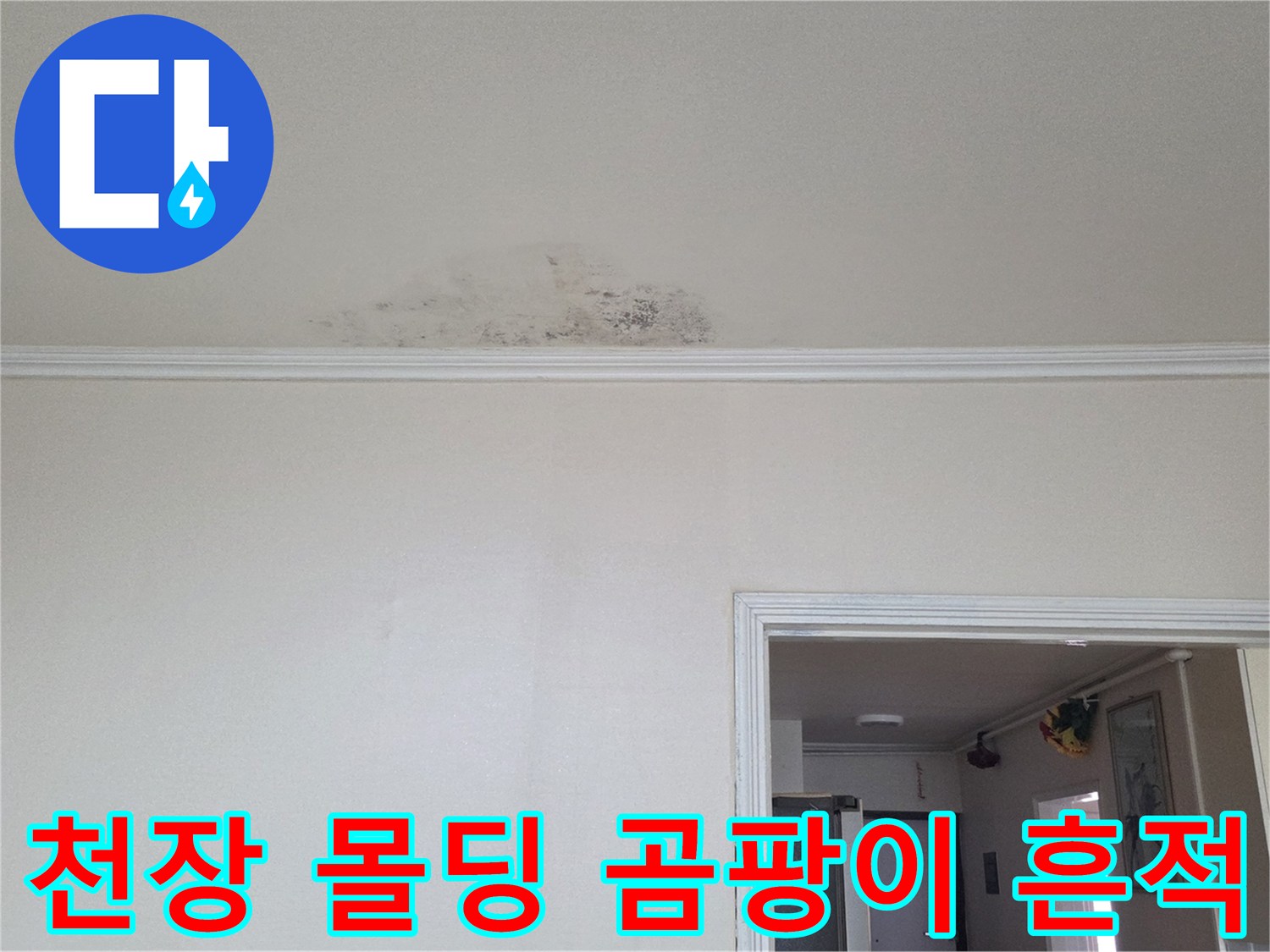 천장몰딩-누수흔적-및-곰팡이상태