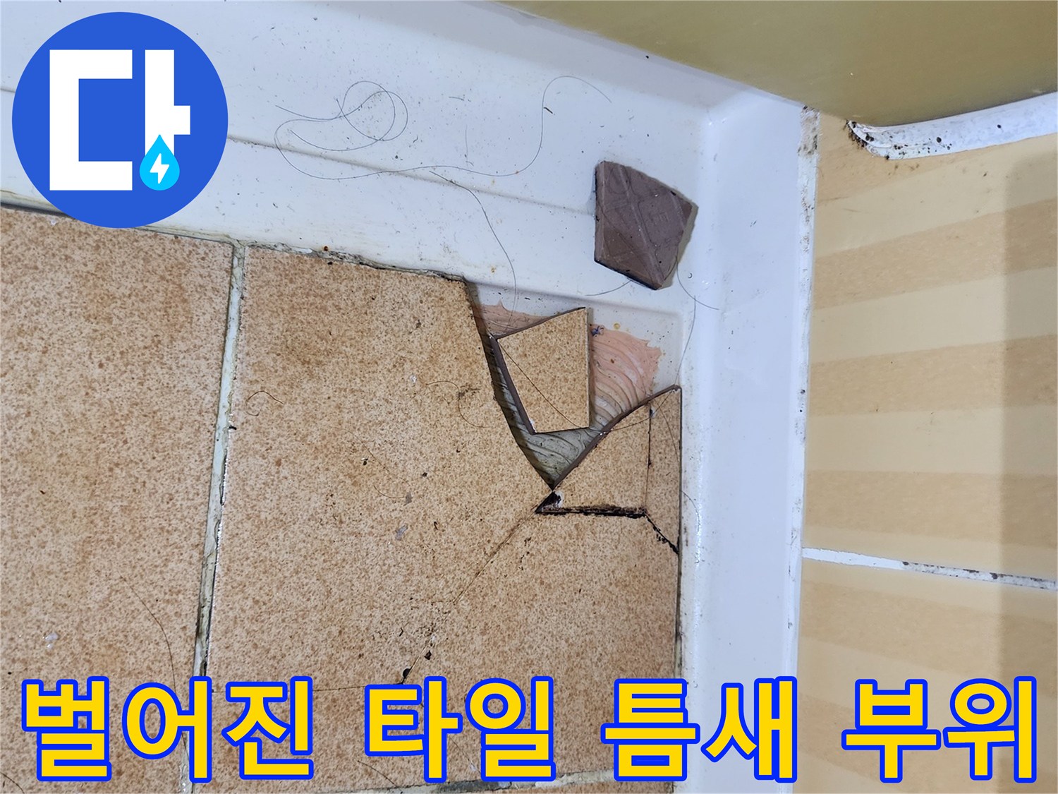욕실-바닥-타일-사이-벌어짐-및-파손