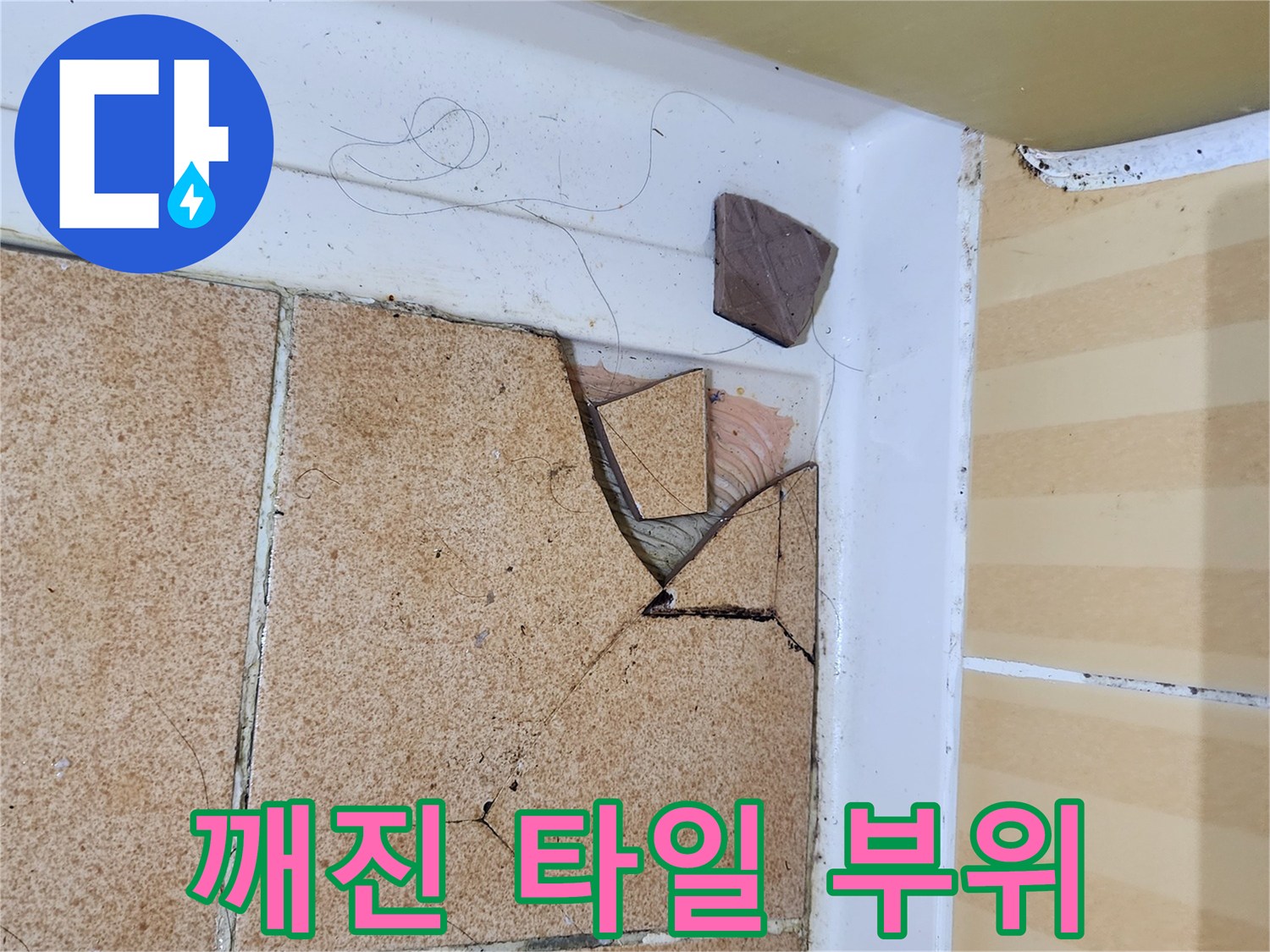 욕실-타일-파손-및-틈새-물침투-흔적