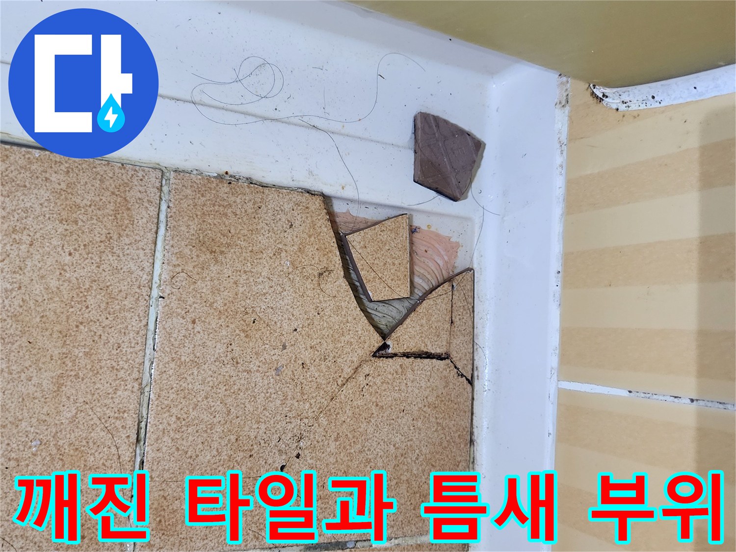 파손된-타일-및-벌어진-바닥-줄눈