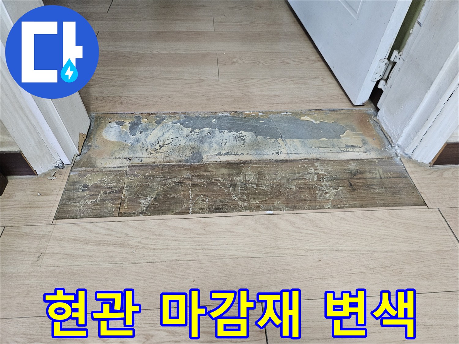 물에 젖어 색이 변한 현관 바닥재 사진