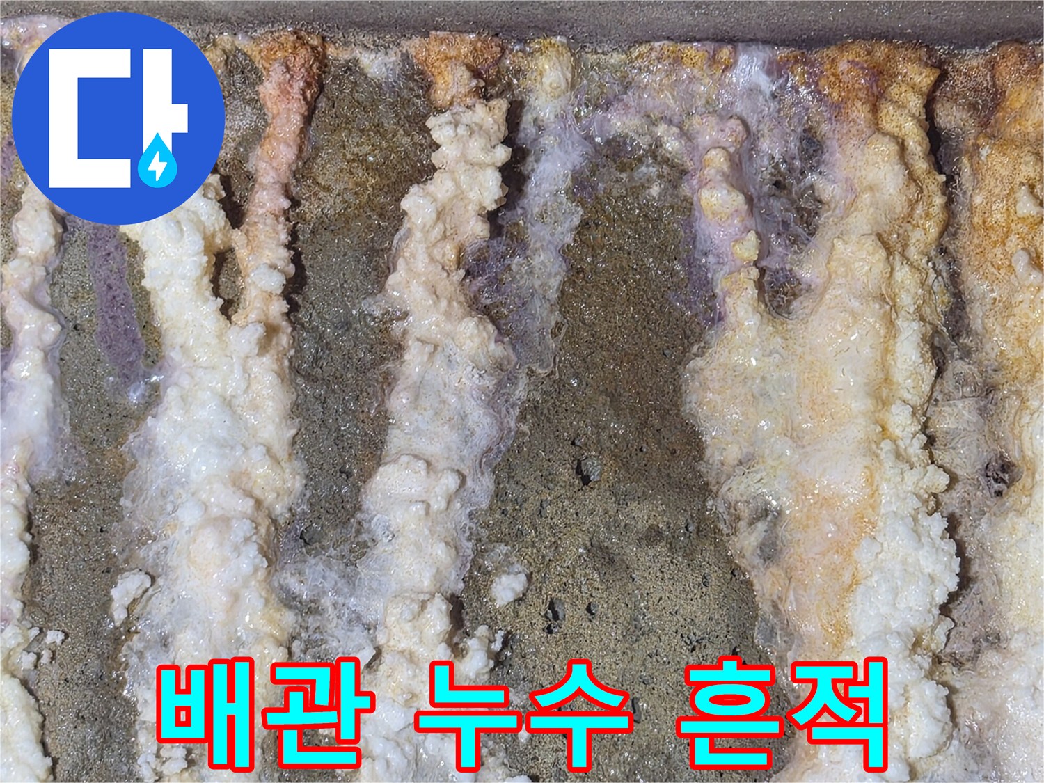 배관-주변을-덮고있는-하얀색-석회화된-물때