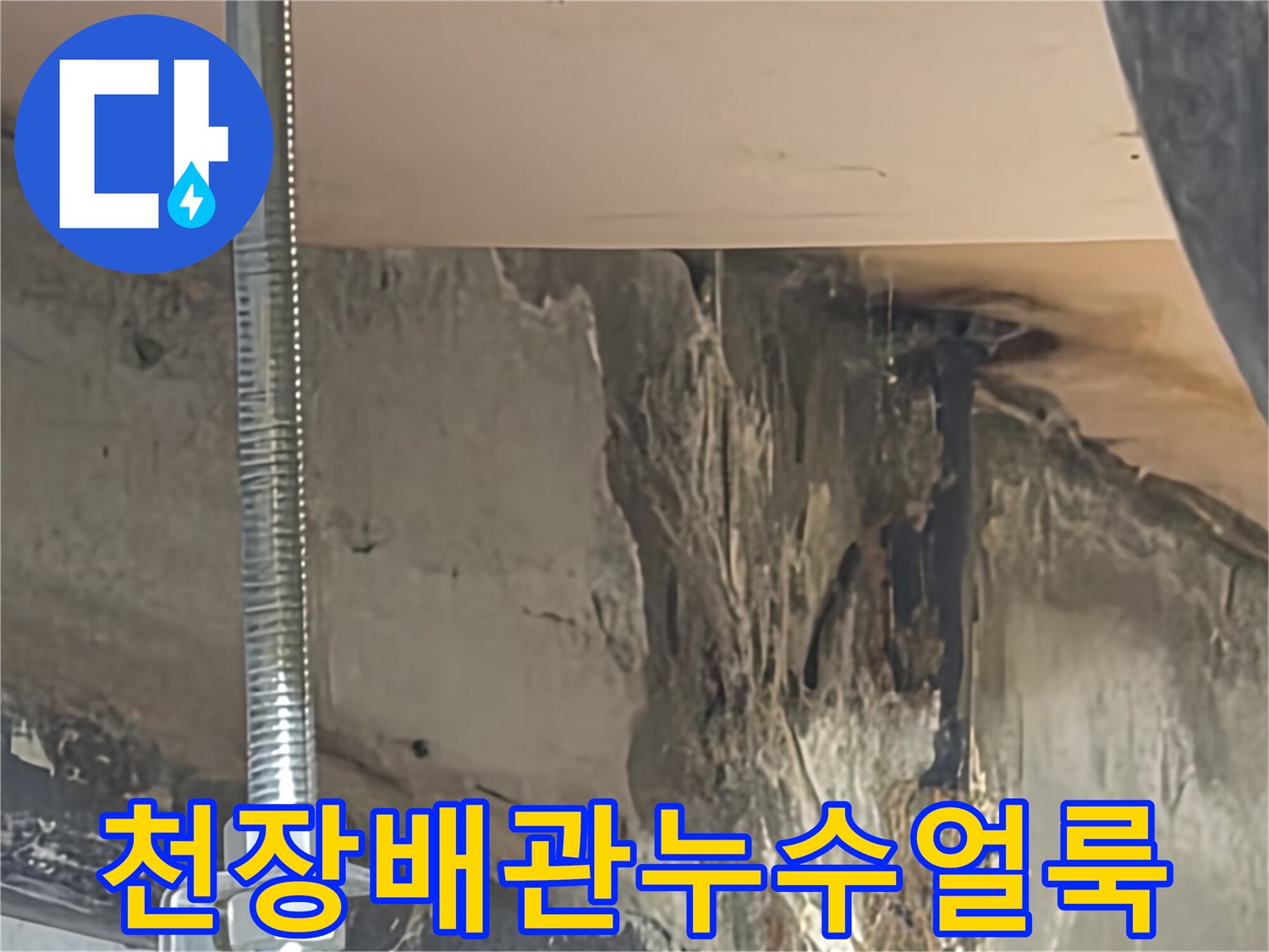 아랫집-천장-배관-주변의-축축한-물기-및-오염