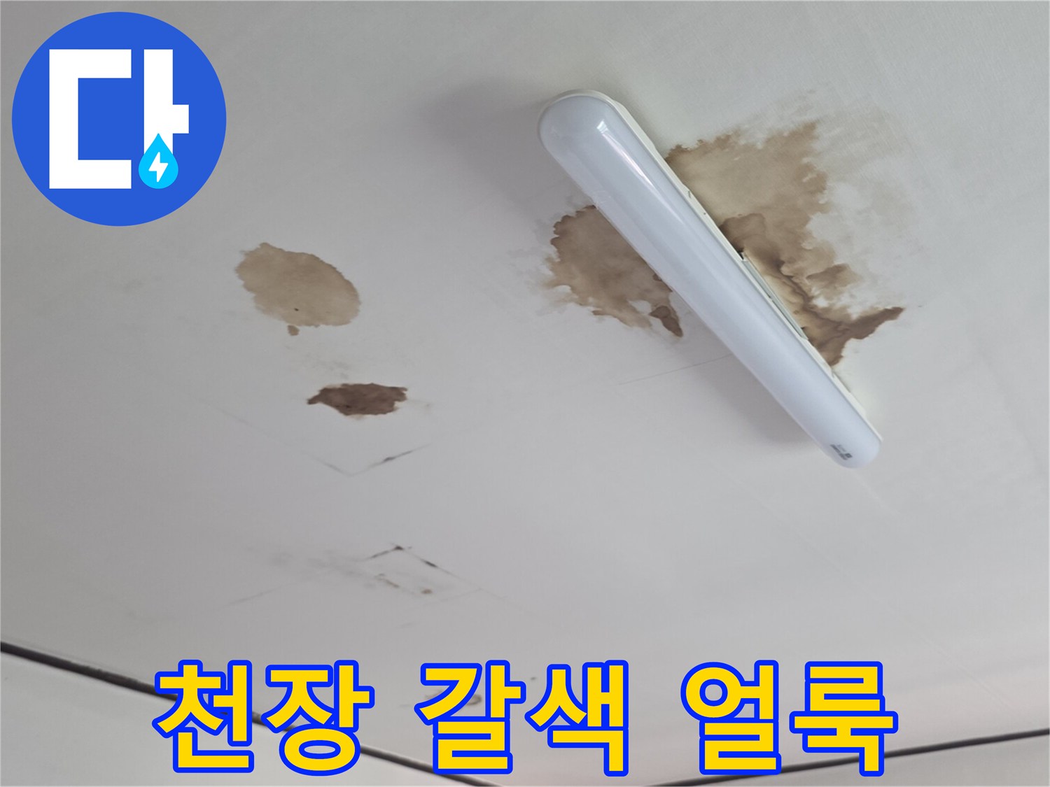 조명 주변으로 퍼진 누수 오염 흔적