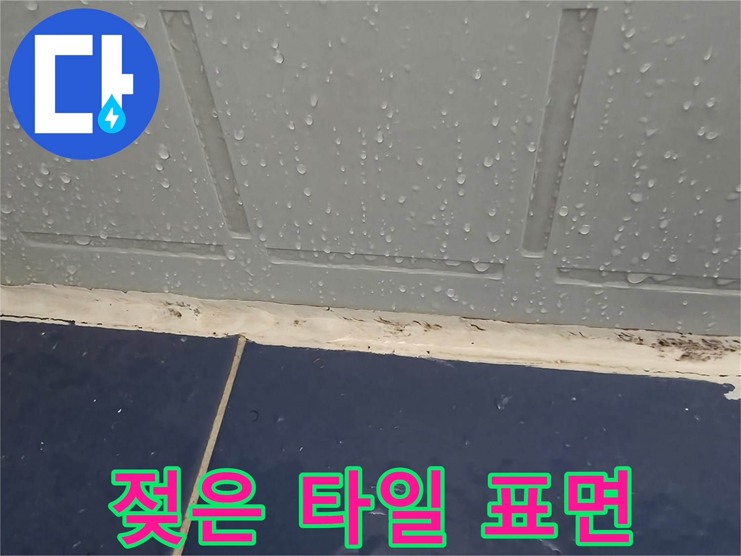 물기가-맺힌-화장실-타일-하단부-상태