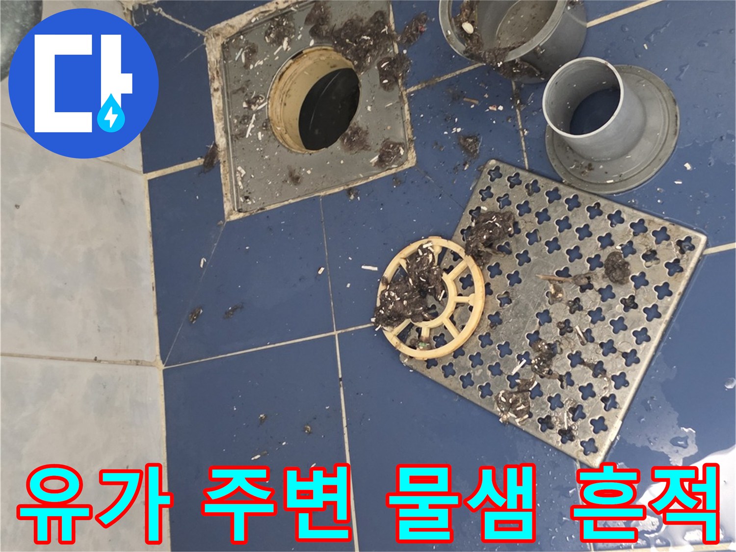 배수구-주변-타일-틈새로-스며든-물기