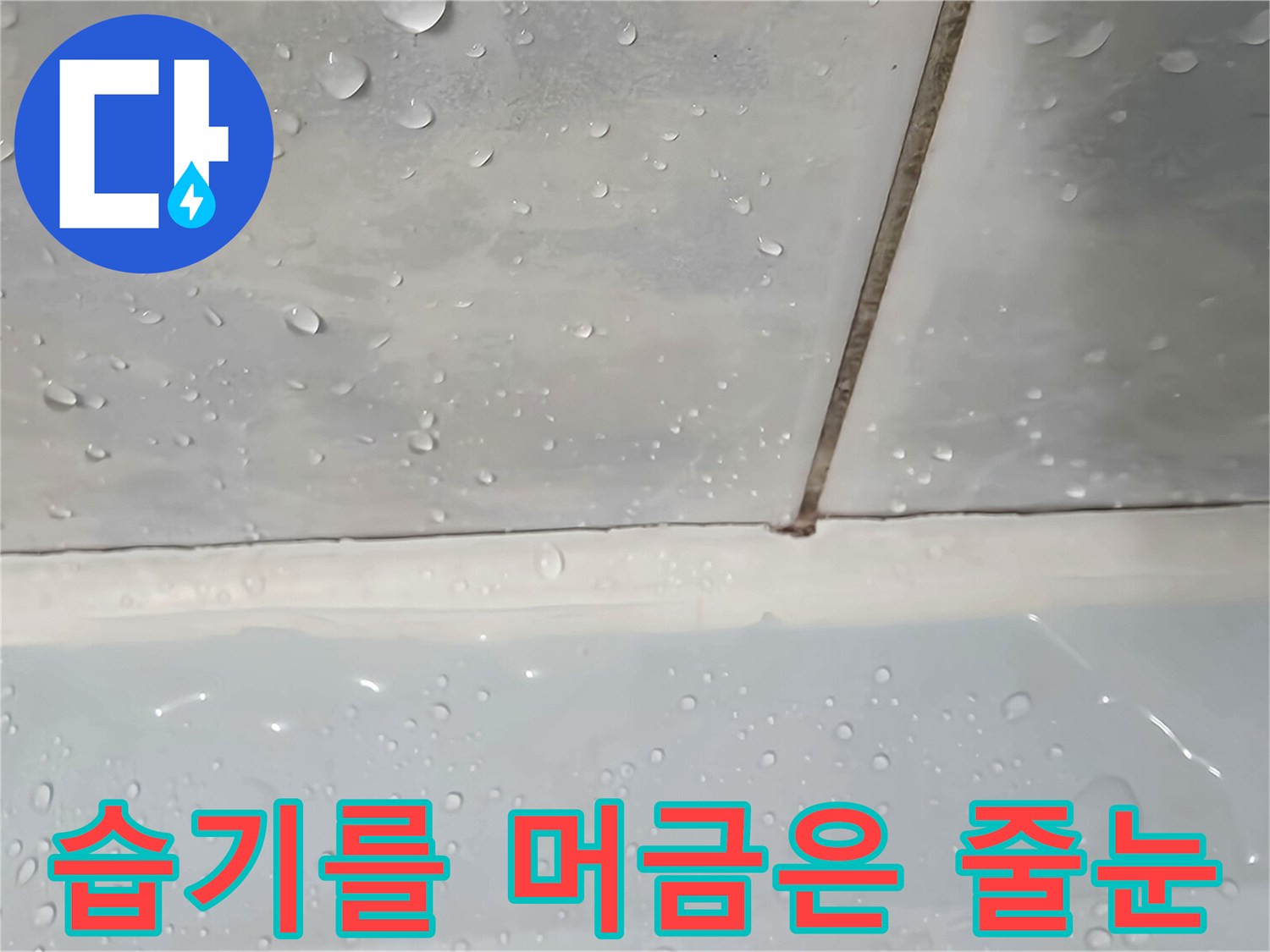 욕실-타일-경계-부위의-수분-상태