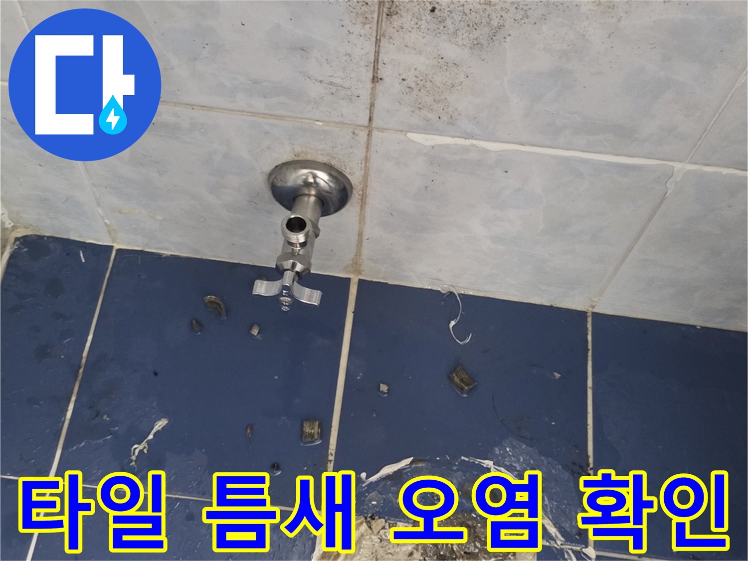 욕실-타일-줄눈-사이의-습기-및-오염-상태