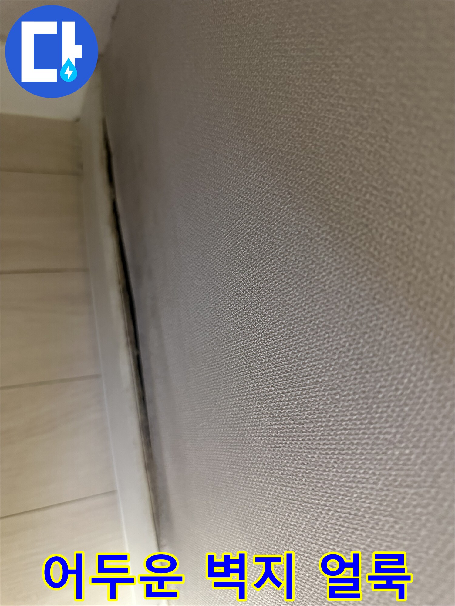 습기로-인해-검게-오염된-벽지-하단 부위