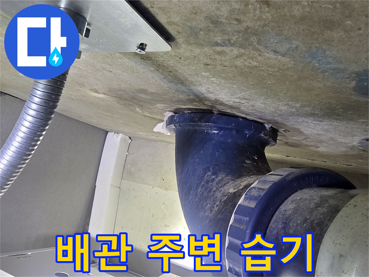 오수-배관-주변-콘크리트-젖음-상태