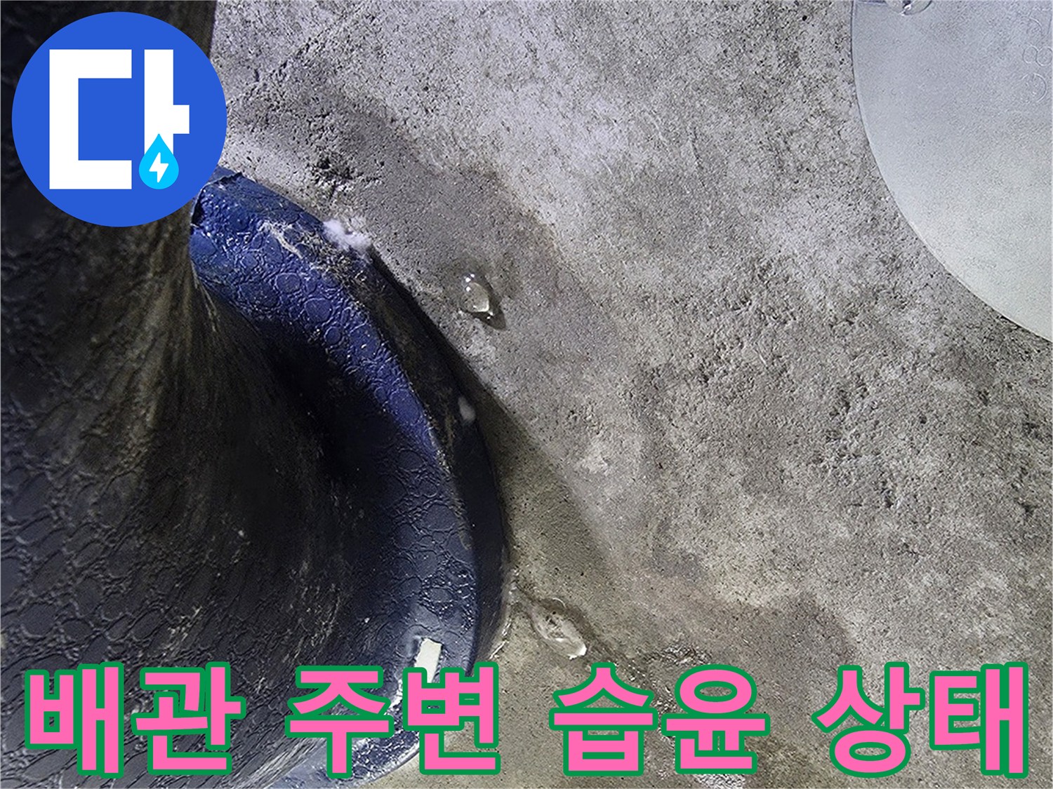 오수배관-주변-콘크리트-젖은-모습