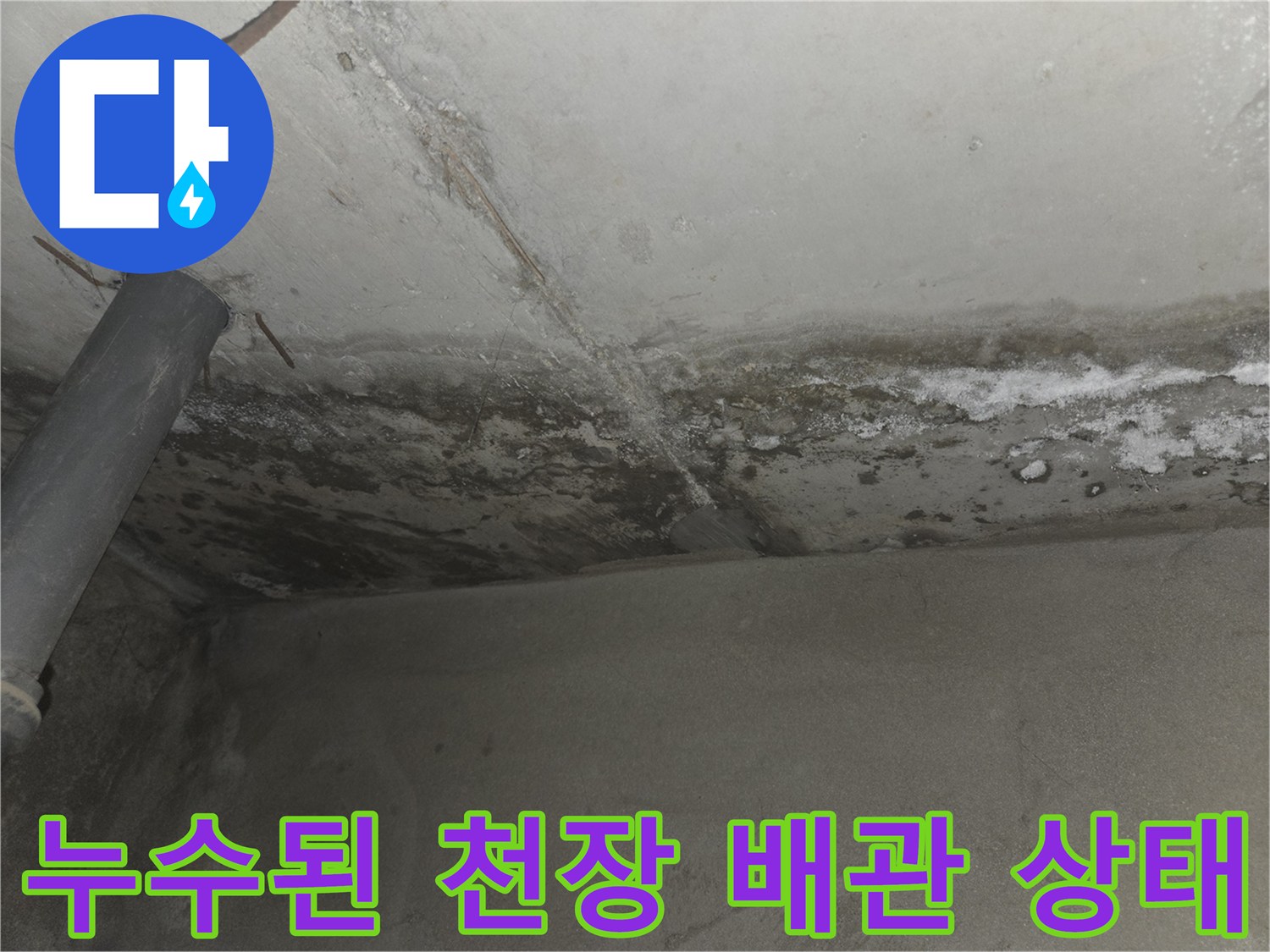 배관을 따라 발생한 하얀색 석회 침착물과 젖은 천장