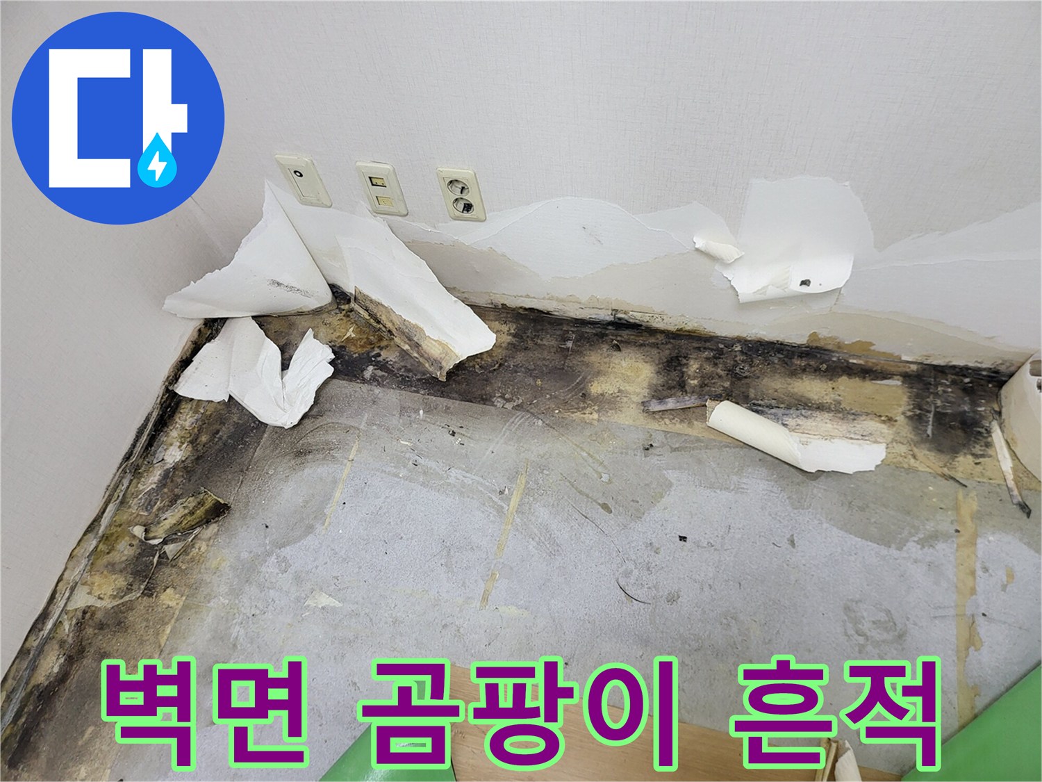 송파구 아파트 벽면-곰팡이가 발생한 상태