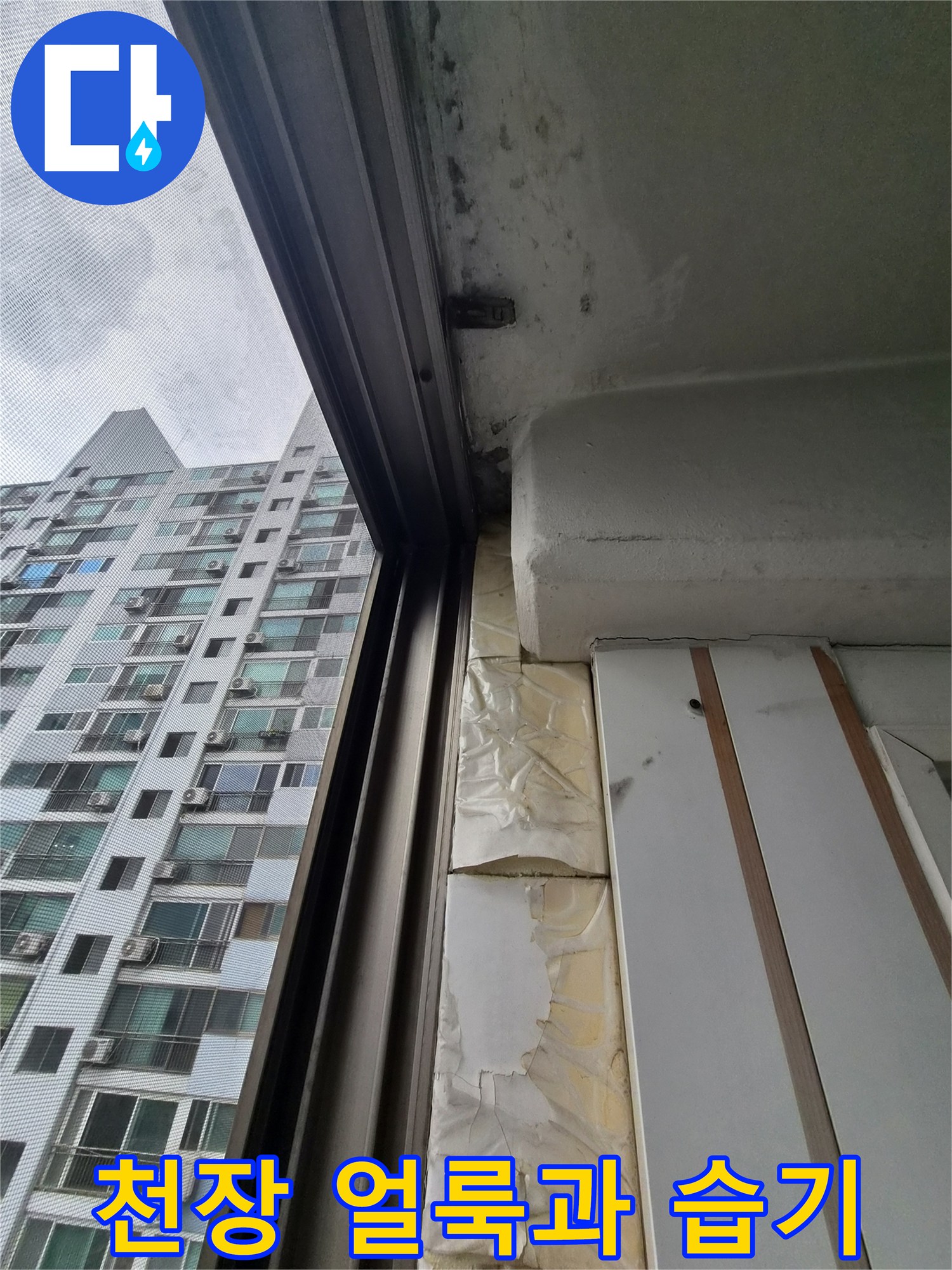 아파트 천장 부분의 물샘 흔적과 곰팡이 상태