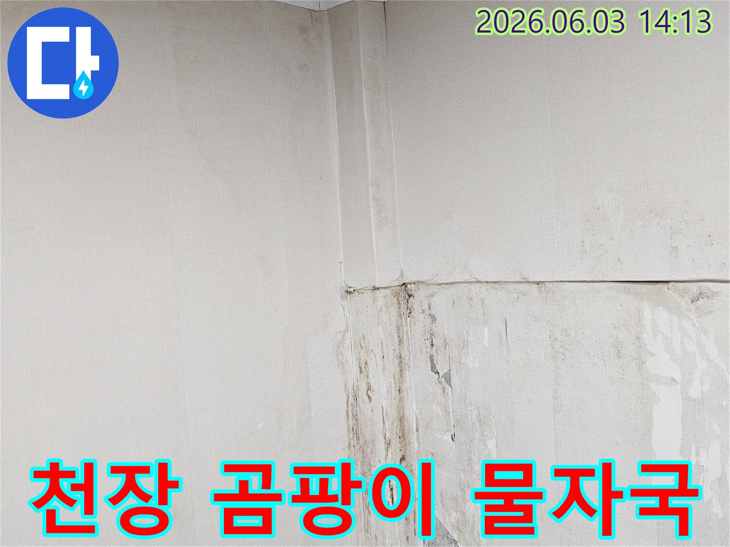 천장-모서리에-오랜-누수로-인해-생긴-곰팡이와-물자국-사진