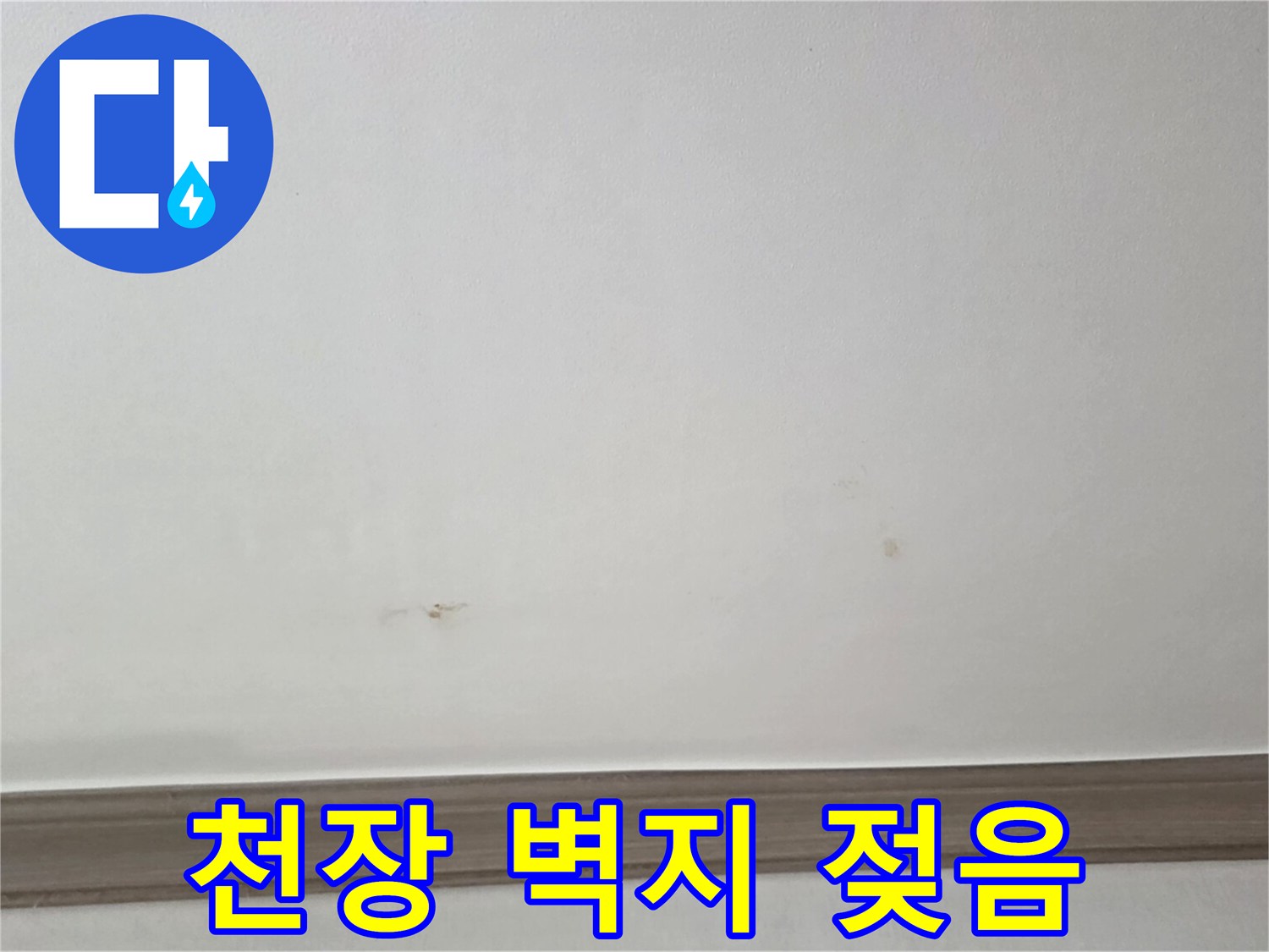 천장 벽지에 발생한 습기로 인한 변색 부위