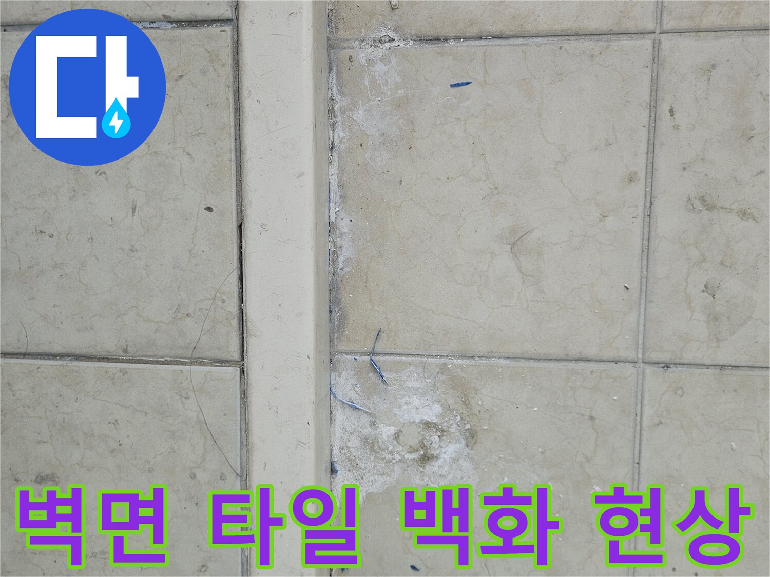 물때와-백화가-섞인-베란다-타일-벽면-사진