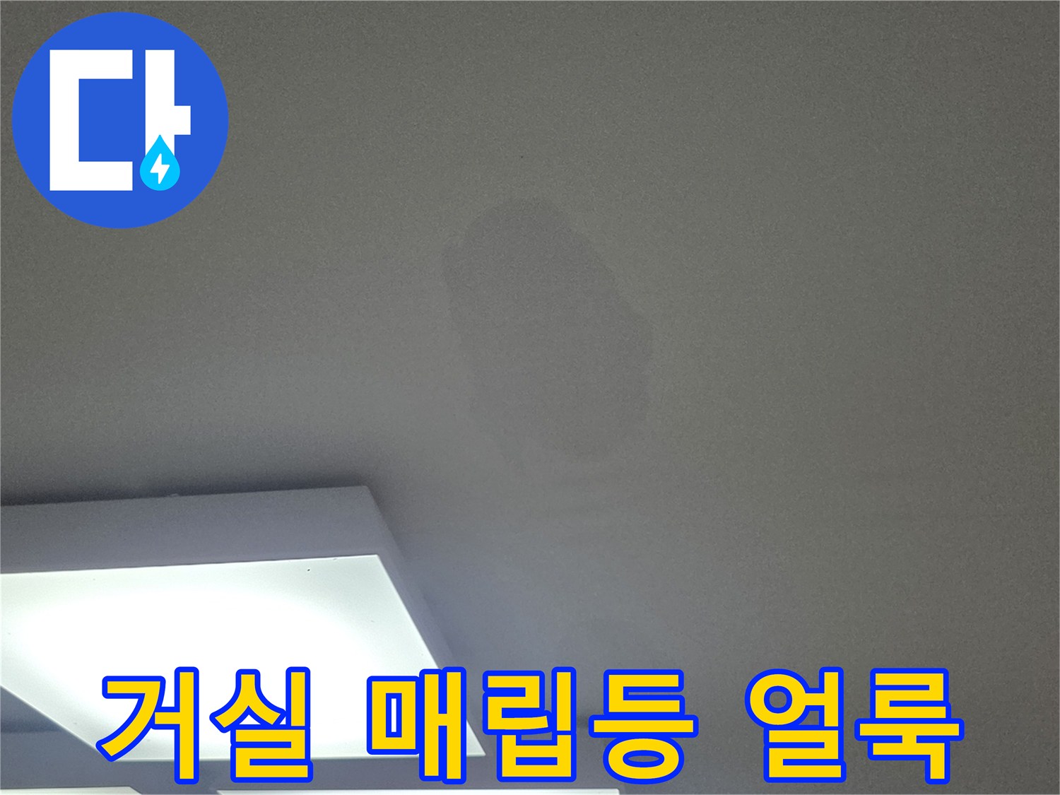 매립등 주변의 넓은 물자국 흔적
