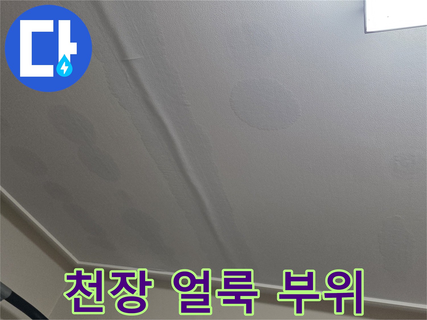 일산서구-주택-천장-누수-피해-범위-촬영
